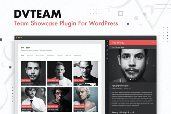 dv team team showcase plugin for wordpress