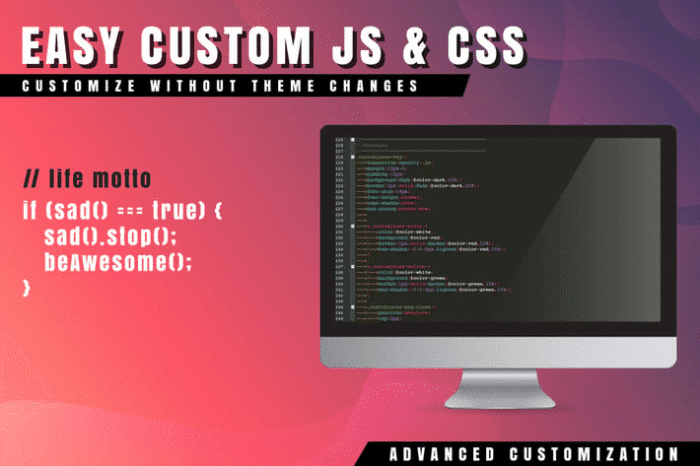 easy custom js and css for wordpress