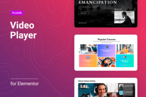 flexible video player for elementor