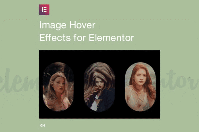 image hover elements