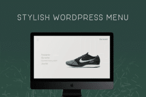 navi fullscreen wordpress menu