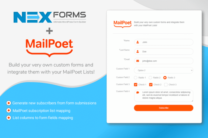 nex forms mailpoet add on