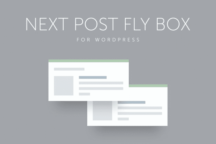 next post fly box for wordpress