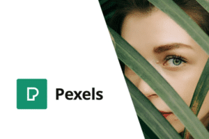 pexels import free stock images into wordpress