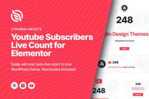 struninn youtube subscribers live count