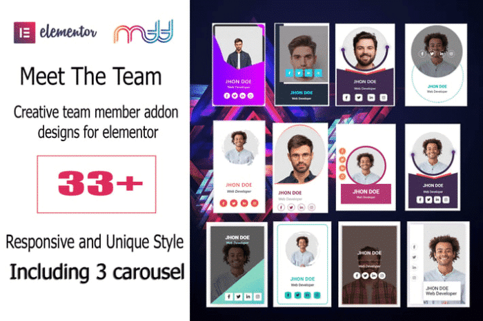 team member addon for elementor
