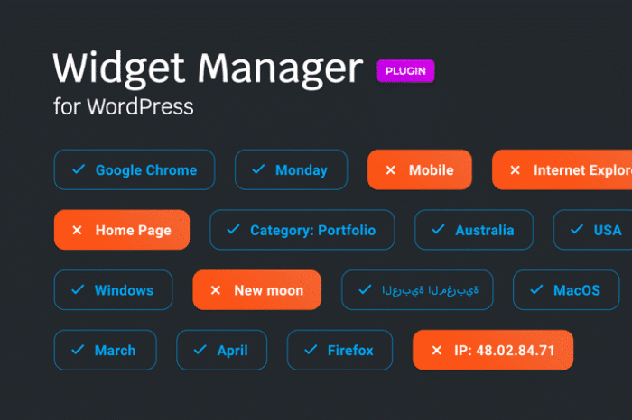 widget manager for wordpress