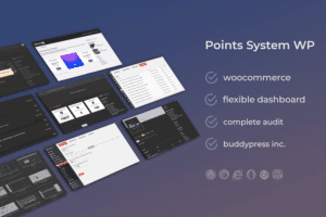 woocommerce easy point system packages dzs