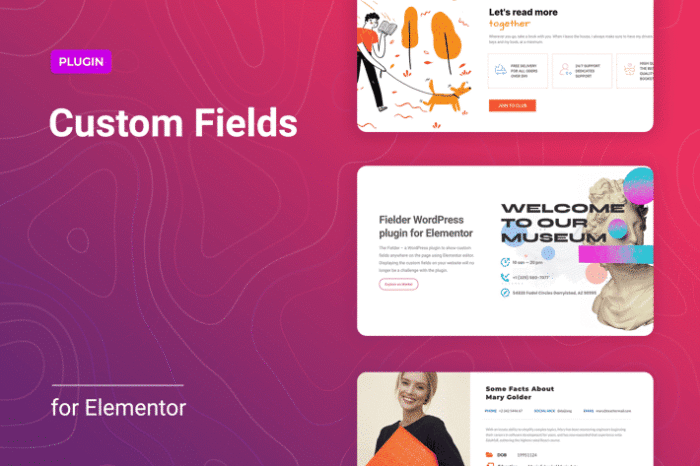wordpress custom fields for elementor