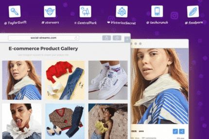 wordpress instagram posts feed grace