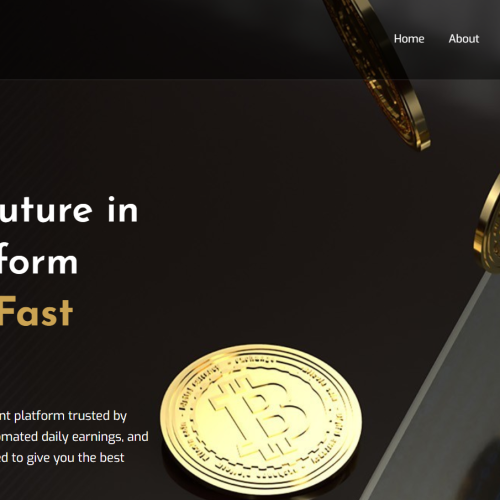 Webtrix Innovations A website homepage for Magic Money Investor featuring floating gold bitcoin coins, the slogan Invest for Future in Stable Platform and Make Fast Money, and Web Design-inspired navigation links at the top for Home, About, Plan, Blog, and Contact.